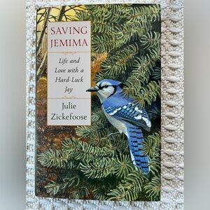 Saving Jemima Book by Julie Zickefoose Life & Love with a Hard luck Jay. Birding